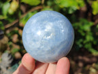 Polished Blue Calcite Spheres x 6 From Madagascar - Toprock Gemstones and Minerals 