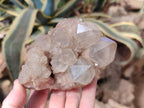 Natural Cascading White Phantom Semi-Smokey Luena Quartz Clusters x 3 From Luena, Congo - Toprock Gemstones and Minerals 