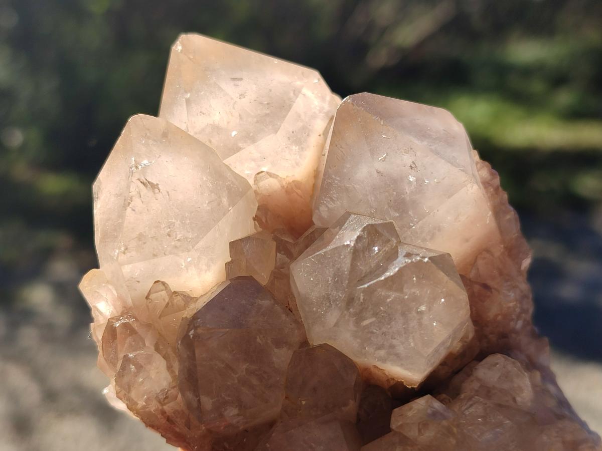Natural Cascading White Phantom Semi-Smokey Luena Quartz Clusters x 3 From Luena, Congo - Toprock Gemstones and Minerals 