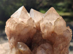 Natural Cascading White Phantom Semi-Smokey Luena Quartz Clusters x 3 From Luena, Congo - Toprock Gemstones and Minerals 