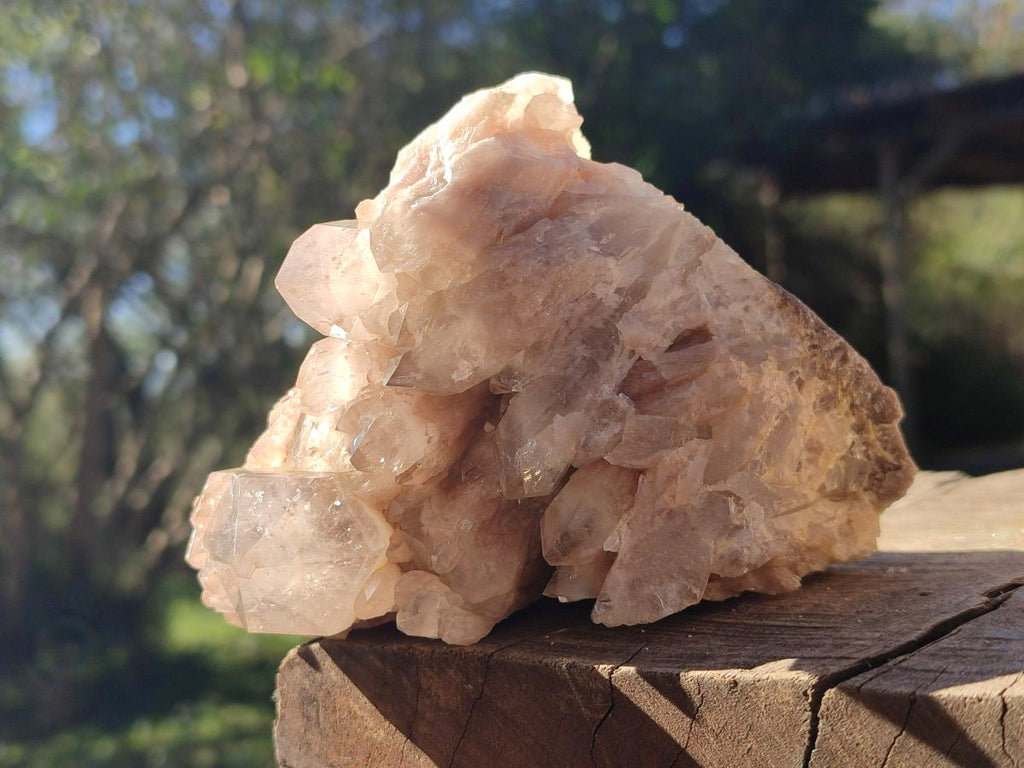 Natural Cascading White Phantom Semi-Smokey Luena Quartz Clusters x 3 From Luena, Congo - Toprock Gemstones and Minerals 