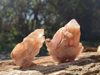 Natural Cascading Sugar Candle Quartz Clusters and Crystals x 24 From Antsirabe, Madagascar - Toprock Gemstones and Minerals 