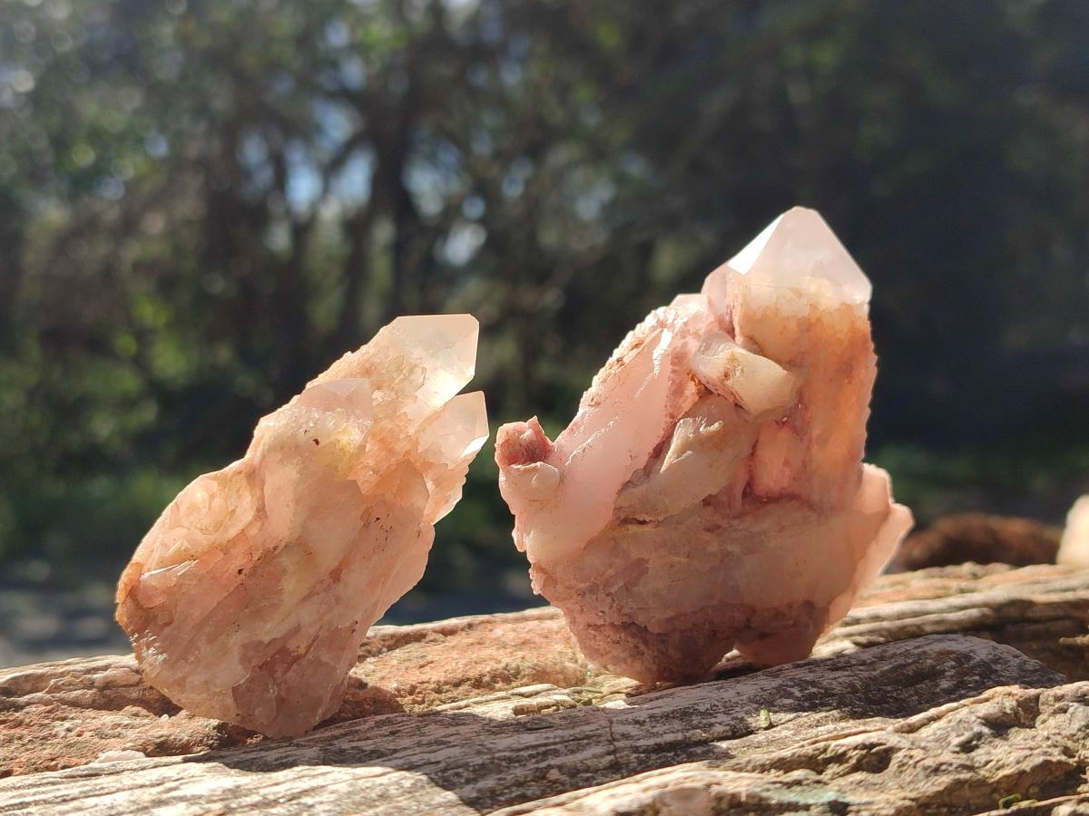 Natural Cascading Sugar Candle Quartz Clusters and Crystals x 24 From Antsirabe, Madagascar - Toprock Gemstones and Minerals 