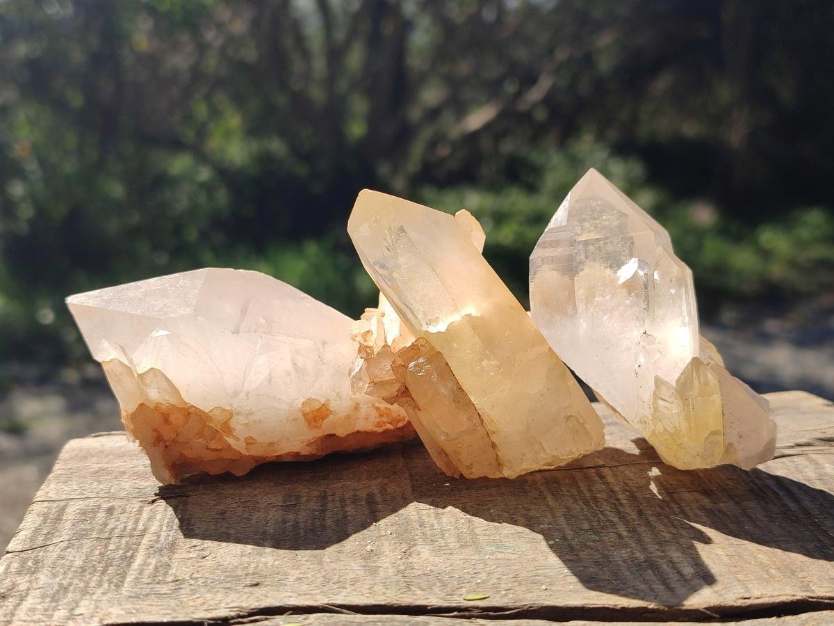 Natural Cascading Sugar Candle Quartz Clusters and Crystals x 24 From Antsirabe, Madagascar - Toprock Gemstones and Minerals 