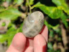 Polished Mini Smokey Window Quartz Eggs x 35 From Madagascar - Toprock Gemstones and Minerals 