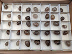 Polished Mini Smokey Window Quartz Eggs x 35 From Madagascar - Toprock Gemstones and Minerals 