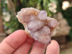 Natural Small Spirit Amethyst Clusters and Crystals x 33 From Boekenhouthoek, South Africa - Toprock Gemstones and Minerals 