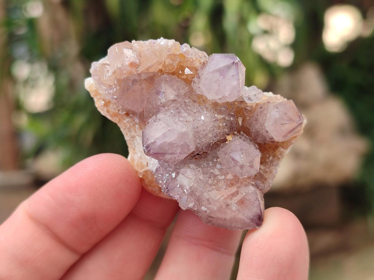 Natural Small Spirit Amethyst Clusters and Crystals x 33 From Boekenhouthoek, South Africa - Toprock Gemstones and Minerals 