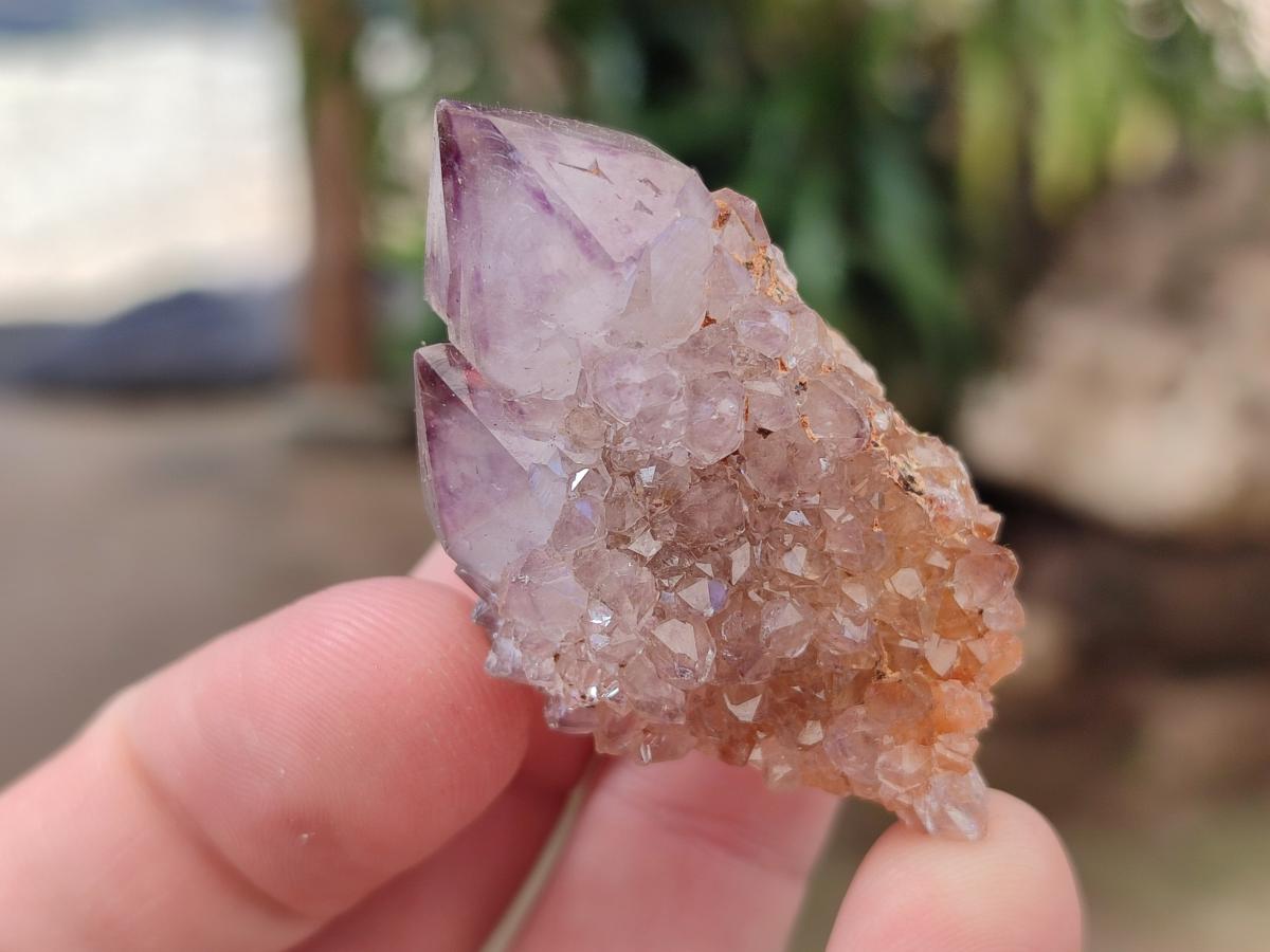 Natural Small Spirit Amethyst Clusters and Crystals x 33 From Boekenhouthoek, South Africa - Toprock Gemstones and Minerals 