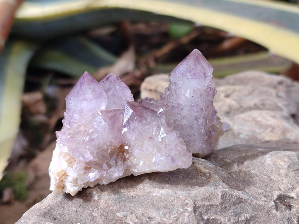 Natural Small Spirit Amethyst Clusters and Crystals x 33 From Boekenhouthoek, South Africa - Toprock Gemstones and Minerals 