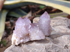 Natural Small Spirit Amethyst Clusters and Crystals x 33 From Boekenhouthoek, South Africa - Toprock Gemstones and Minerals 