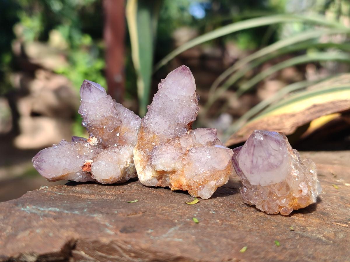 Natural Small Spirit Amethyst Clusters and Crystals x 33 From Boekenhouthoek, South Africa - Toprock Gemstones and Minerals 