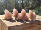 Natural Small Spirit Amethyst Clusters and Crystals x 33 From Boekenhouthoek, South Africa - Toprock Gemstones and Minerals 