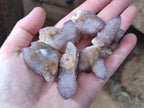 Natural Small Spirit Amethyst Clusters and Crystals x 33 From Boekenhouthoek, South Africa - Toprock Gemstones and Minerals 