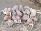 Natural Small Spirit Amethyst Clusters and Crystals x 33 From Boekenhouthoek, South Africa - Toprock Gemstones and Minerals 