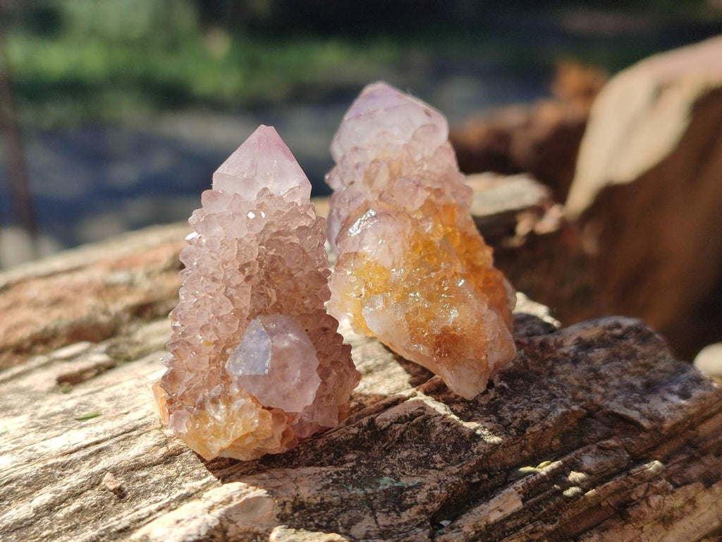 Natural Small Spirit Amethyst Clusters and Crystals x 33 From Boekenhouthoek, South Africa - Toprock Gemstones and Minerals 
