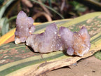 Natural Small Spirit Amethyst Clusters and Crystals x 33 From Boekenhouthoek, South Africa - Toprock Gemstones and Minerals 