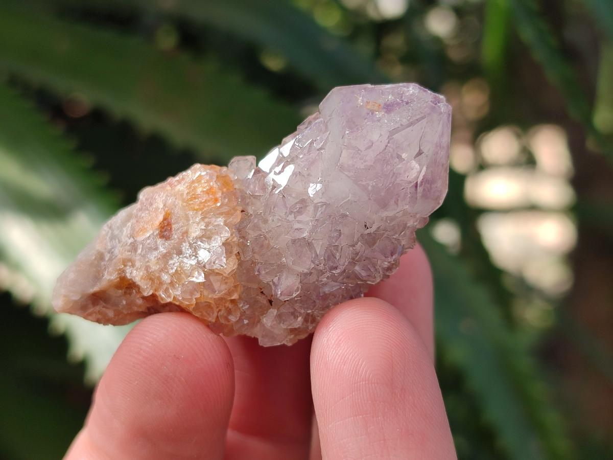 Natural Small Spirit Amethyst Clusters and Crystals x 33 From Boekenhouthoek, South Africa - Toprock Gemstones and Minerals 