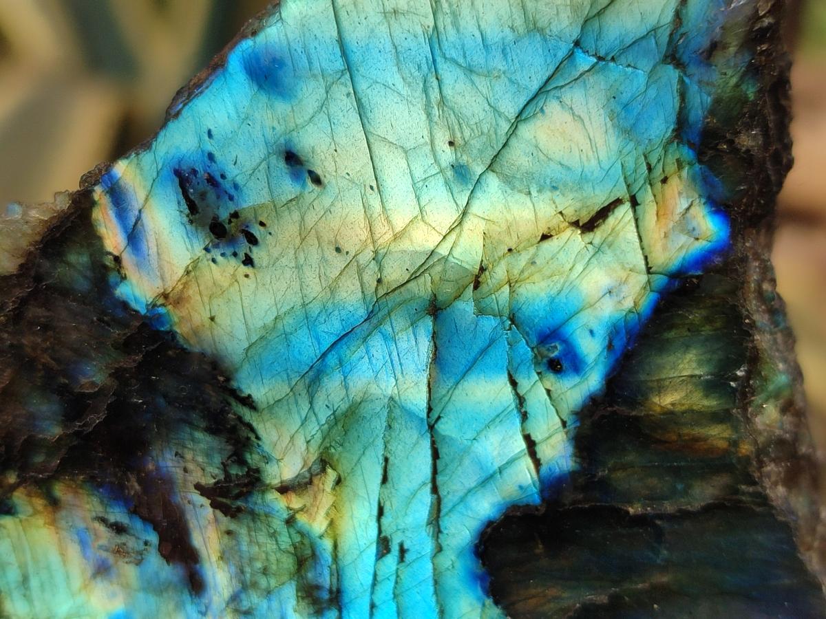 Polished Labradorite Slices x 24 From Madagascar - Toprock Gemstones and Minerals 