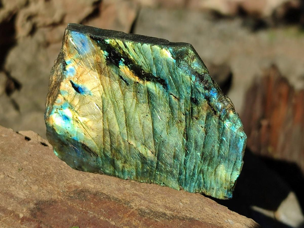 Polished Labradorite Slices x 24 From Madagascar - Toprock Gemstones and Minerals 
