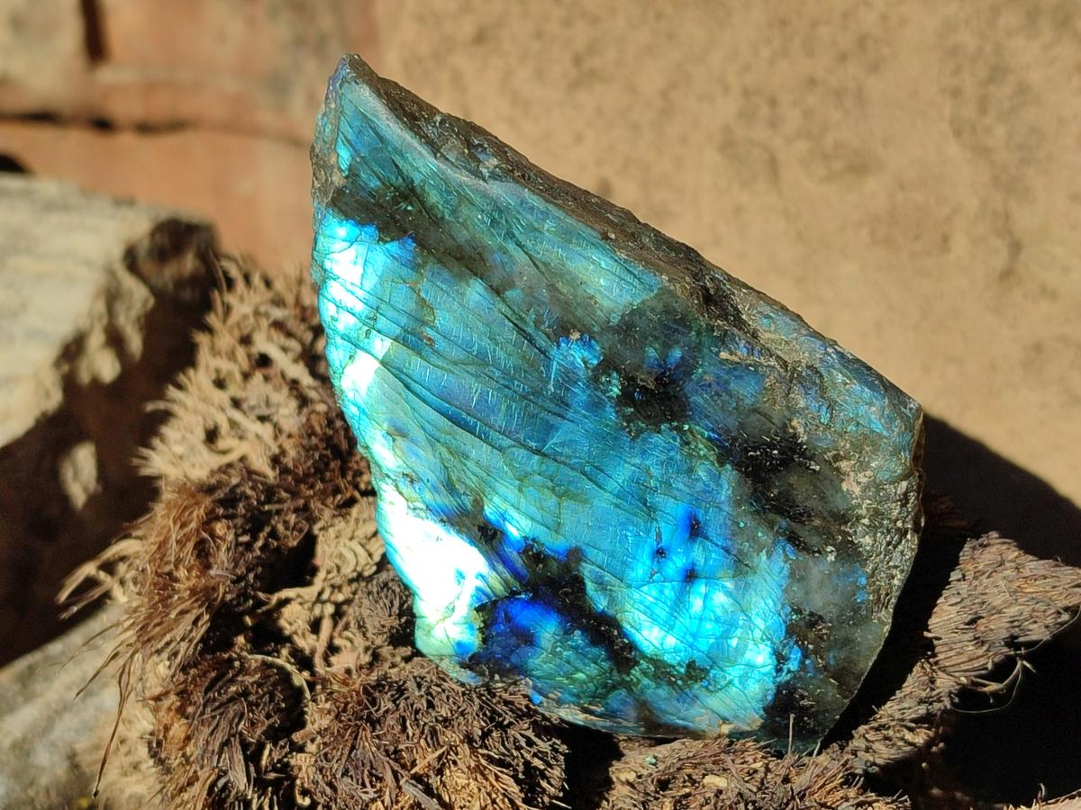 Polished Labradorite Slices x 24 From Madagascar - Toprock Gemstones and Minerals 