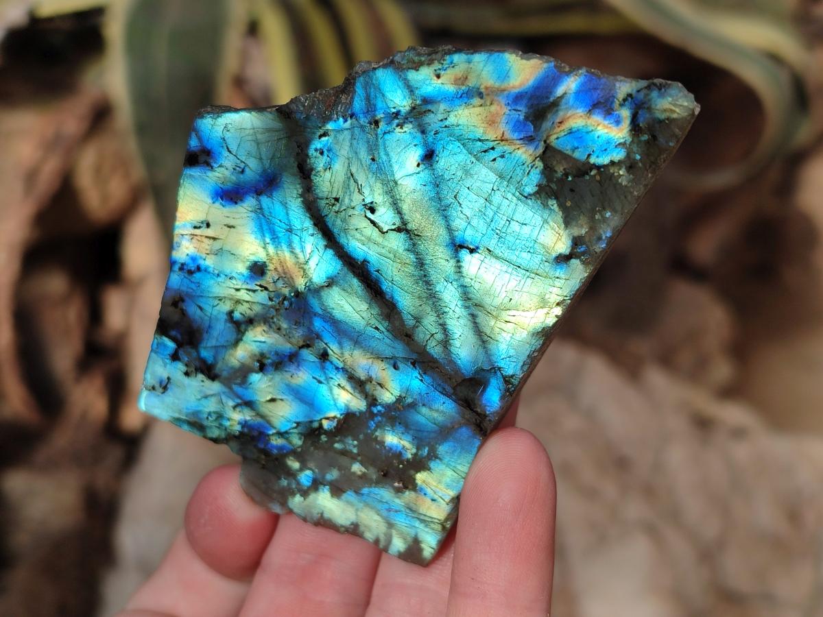 Polished Labradorite Slices x 24 From Madagascar - Toprock Gemstones and Minerals 