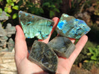 Polished Labradorite Slices x 24 From Madagascar - Toprock Gemstones and Minerals 