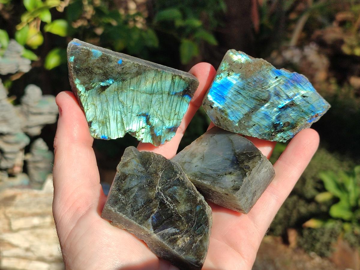Polished Labradorite Slices x 24 From Madagascar - Toprock Gemstones and Minerals 