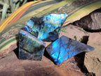 Polished Labradorite Slices x 24 From Madagascar - Toprock Gemstones and Minerals 
