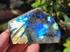 Polished Labradorite Slices x 24 From Madagascar - Toprock Gemstones and Minerals 