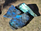 Polished Labradorite Slices x 24 From Madagascar - Toprock Gemstones and Minerals 