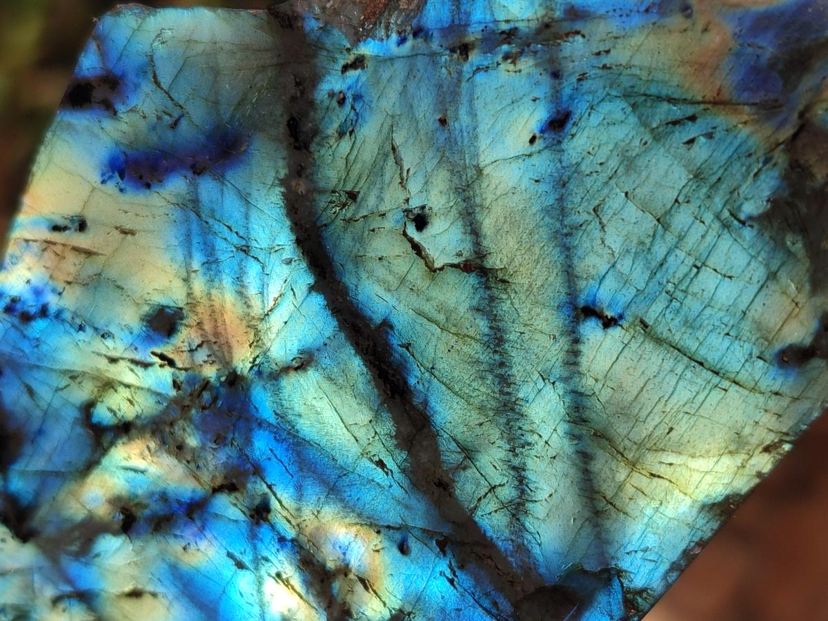Polished Labradorite Slices x 24 From Madagascar - Toprock Gemstones and Minerals 