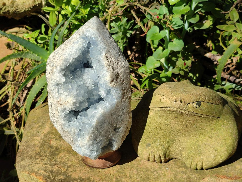 Polished Large Blue Celestite Display Crystals x 1 From Sakoany, Madagascar - Toprock Gemstones and Minerals 