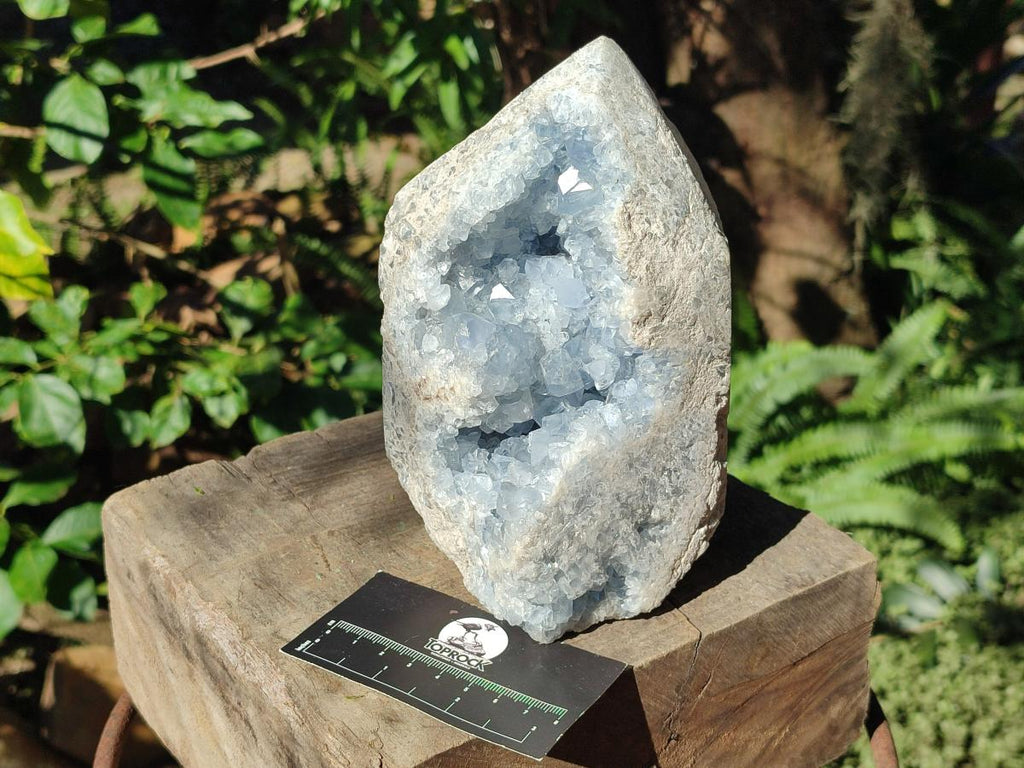 Polished Large Blue Celestite Display Crystals x 1 From Sakoany, Madagascar - Toprock Gemstones and Minerals 