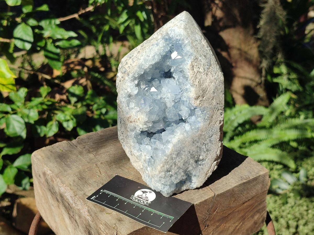 Polished Large Blue Celestite Display Crystals x 1 From Sakoany, Madagascar - Toprock Gemstones and Minerals 
