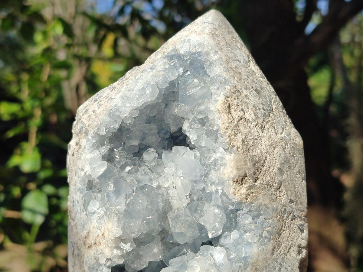 Polished Large Blue Celestite Display Crystals x 1 From Sakoany, Madagascar - Toprock Gemstones and Minerals 
