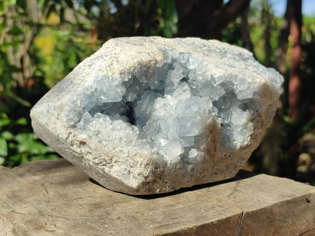 Polished Large Blue Celestite Display Crystals x 1 From Sakoany, Madagascar - Toprock Gemstones and Minerals 