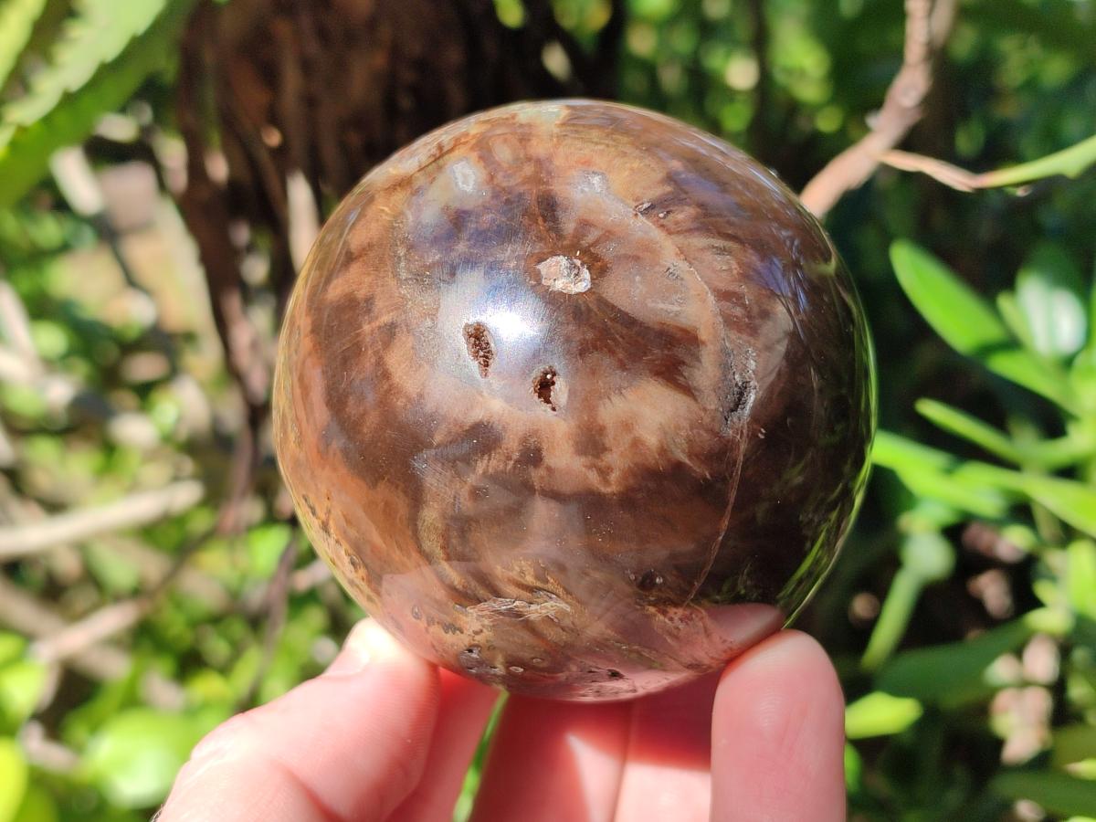 Polished Dadoxylon Petrified Wood Spheres x 3 From Gokwe, Zimbabwe - Toprock Gemstones and Minerals 