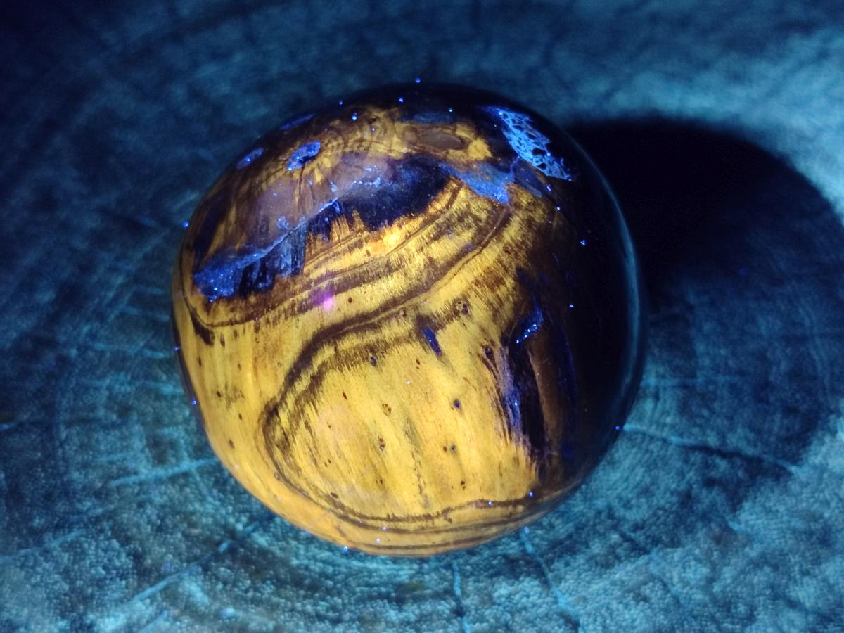 Polished Dadoxylon Petrified Wood Spheres x 3 From Gokwe, Zimbabwe - Toprock Gemstones and Minerals 