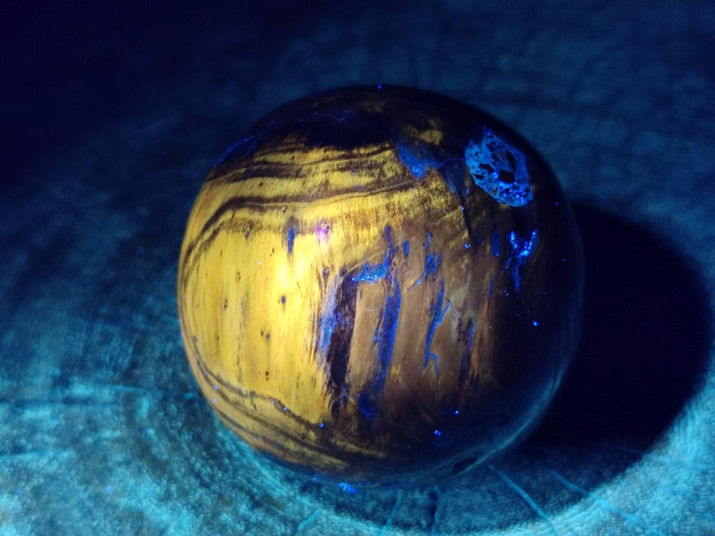 Polished Dadoxylon Petrified Wood Spheres x 3 From Gokwe, Zimbabwe - Toprock Gemstones and Minerals 