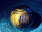 Polished Dadoxylon Petrified Wood Spheres x 3 From Gokwe, Zimbabwe - Toprock Gemstones and Minerals 