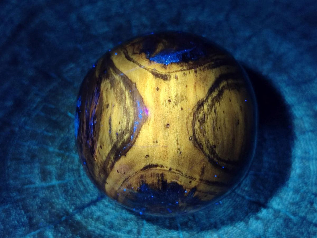 Polished Dadoxylon Petrified Wood Spheres x 3 From Gokwe, Zimbabwe - Toprock Gemstones and Minerals 