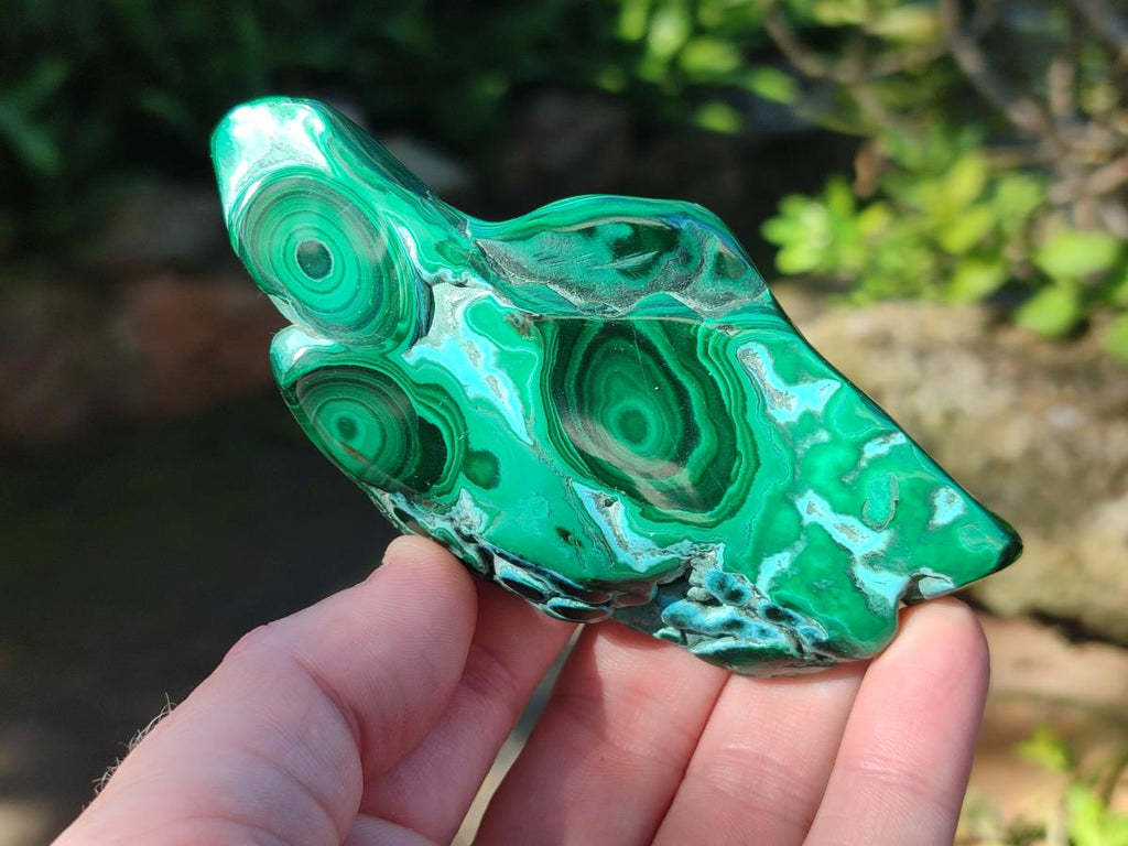 Polished Malacolla Free Forms x 12 From Kulukuluku, Congo - Toprock Gemstones and Minerals 
