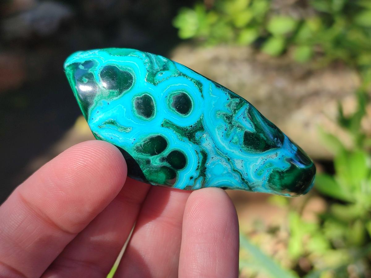Polished Malacolla Free Forms x 12 From Kulukuluku, Congo - Toprock Gemstones and Minerals 