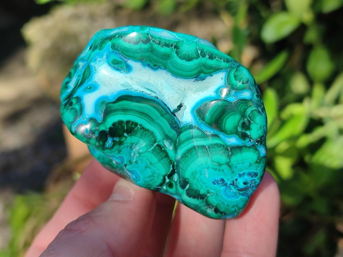 Polished Malacolla Free Forms x 12 From Kulukuluku, Congo - Toprock Gemstones and Minerals 