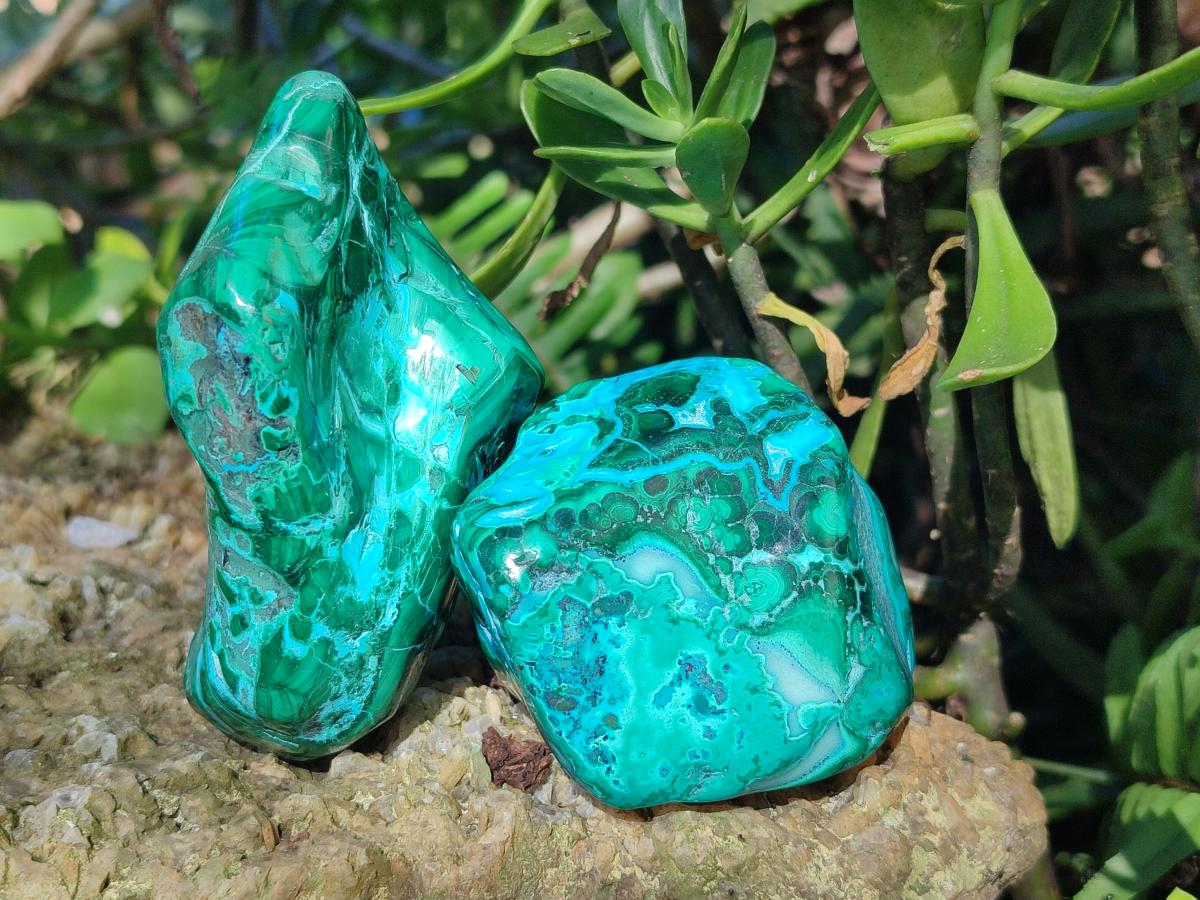 Polished Malacolla Free Forms x 12 From Kulukuluku, Congo - Toprock Gemstones and Minerals 