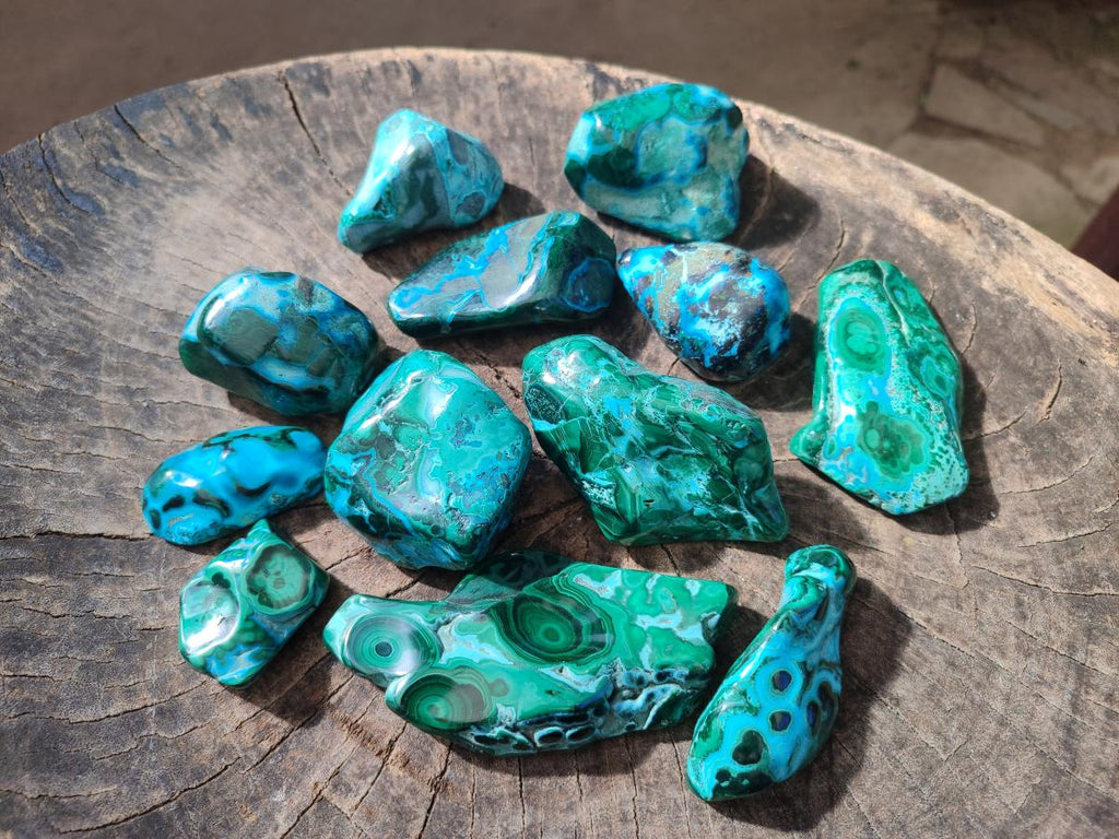 Polished Malacolla Free Forms x 12 From Kulukuluku, Congo - Toprock Gemstones and Minerals 