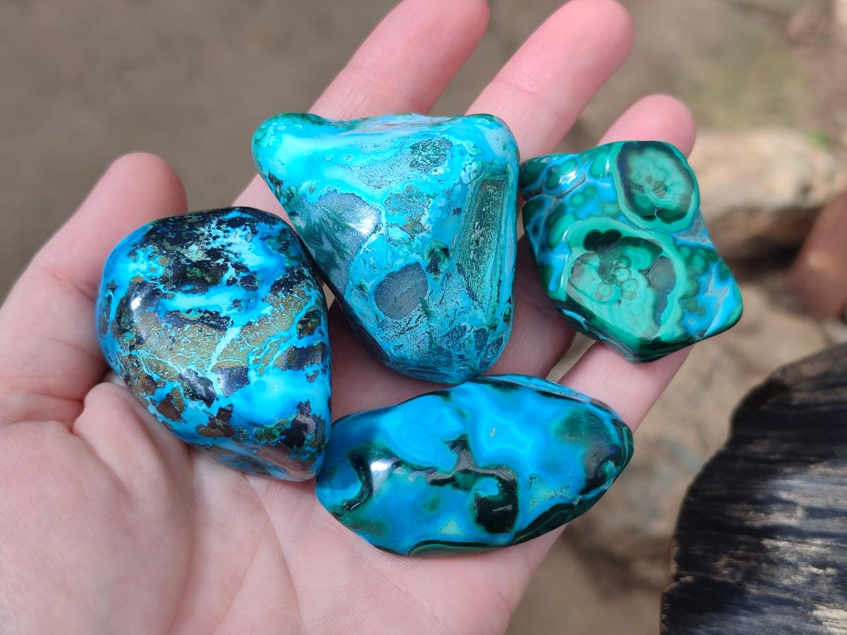 Polished Malacolla Free Forms x 12 From Kulukuluku, Congo - Toprock Gemstones and Minerals 