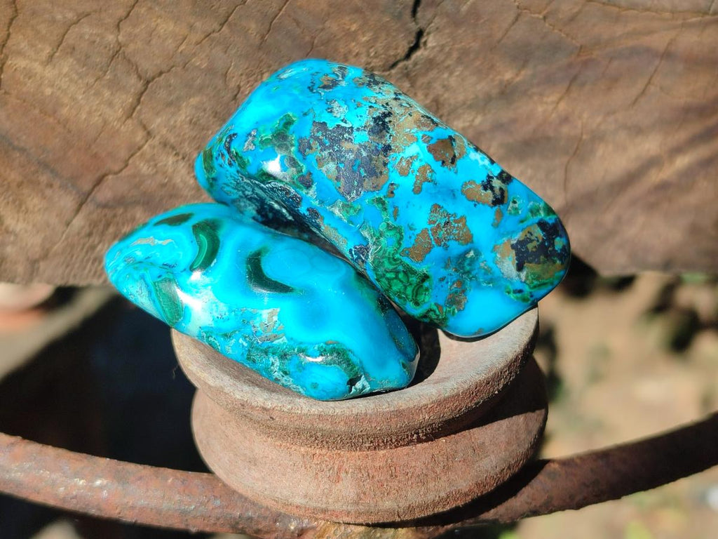Polished Malacolla Free Forms x 12 From Kulukuluku, Congo - Toprock Gemstones and Minerals 
