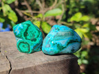 Polished Malacolla Free Forms x 12 From Kulukuluku, Congo - Toprock Gemstones and Minerals 